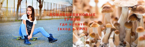 наркотики Белокуриха